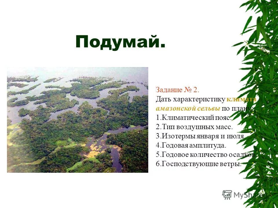 растительность сельвы в южной америке. особенности сельвы. особенности сельвы. природные зоны южной америки сельва. зона влажных экваториальных лесов южной америки.