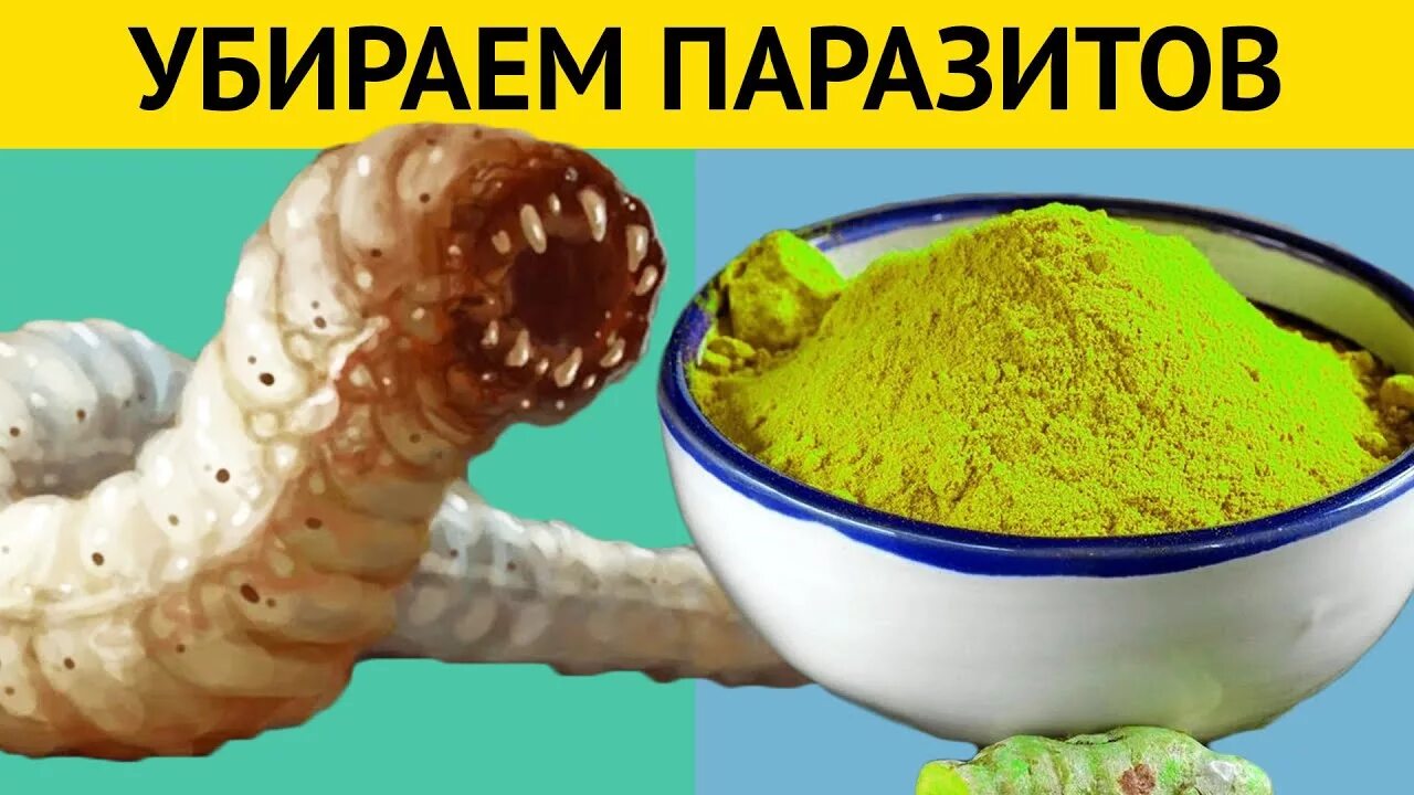 Как избавиться от червяков. Избавление от паразитов. избавление от червей в организме. избавиться от паразитов.