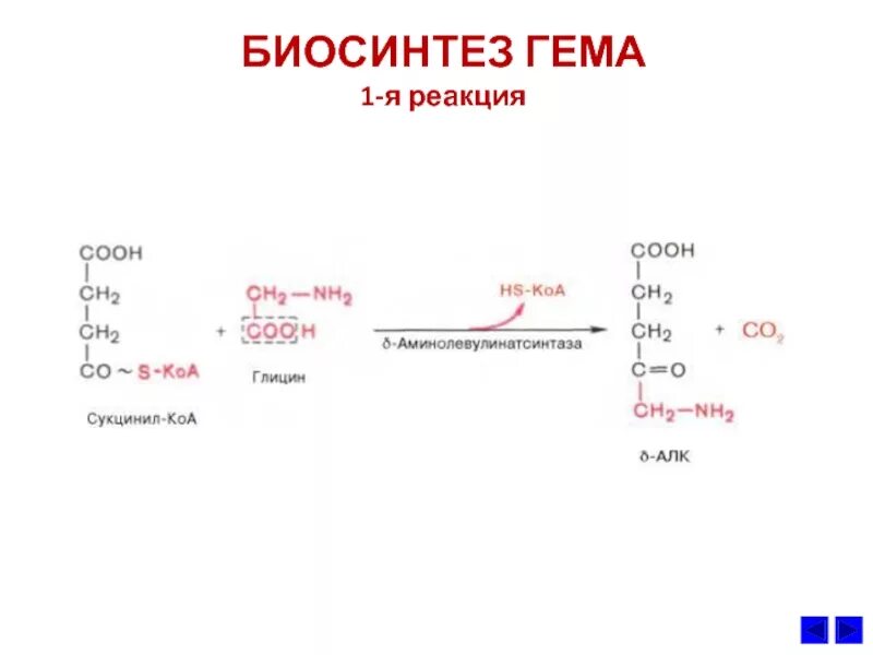 Биосинтез крови. Синтез гема биохимия реакции. Сукцинил КОА Синтез гема. Синтез гема из Серина. Синтез гема химизм.