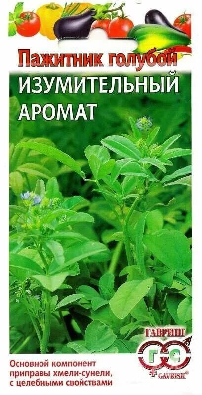 Fenugreek leaves. Фенугрек. Уцхо сунели трава. Грибная трава пажитник. Аромат пажитника.