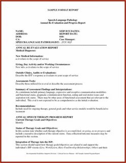 Report writing example