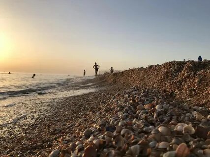 Где лучше отдохнуть на азовском море