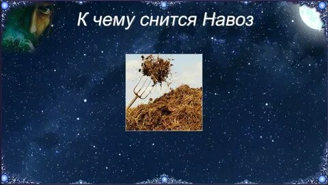 Помет во сне к чему снятся