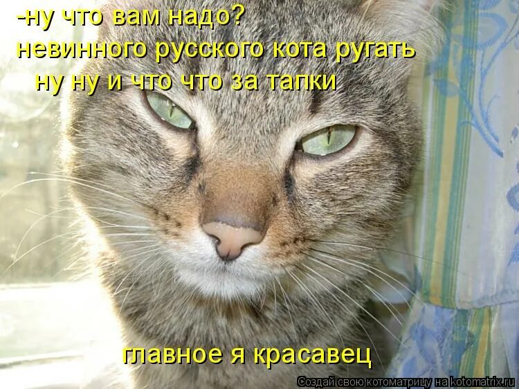 Ну красавец. Красавчик открытка. Ну красавец. Красавчик прикольные. Красавец прикол.