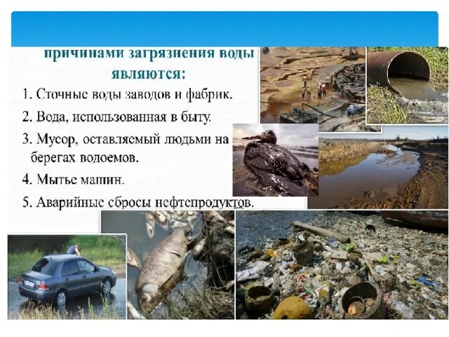 Отчего загрязняется вода. Отчего загрязняется вода