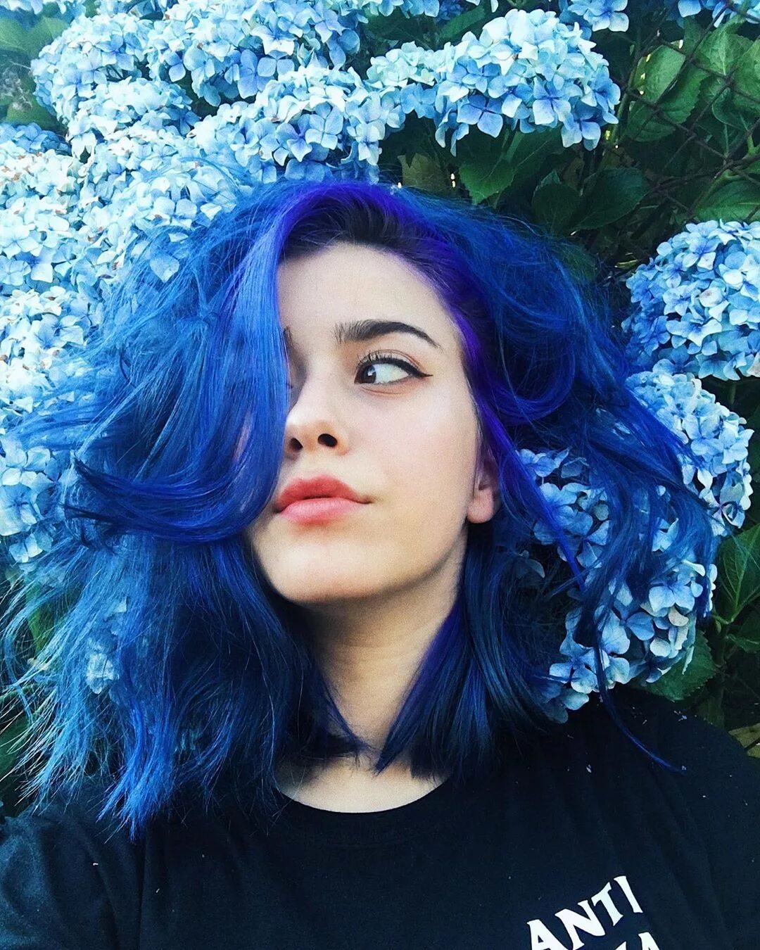 Девушка с синим цветом. Синие волосы. Девушка с синими волосами.