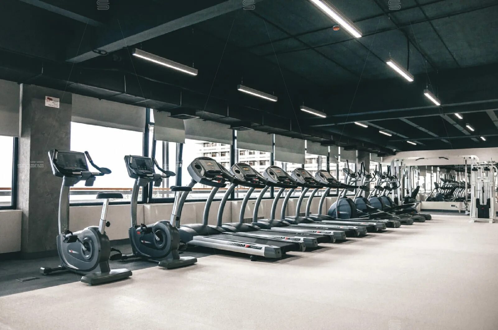 легенда гусь-хрустальный тренажерный зал. гостиница жемчужина спортзал сочи. гранд отель жемчужина сочи тренажерный зал. тренажерный зал железнодорожный. зал сильные люди.