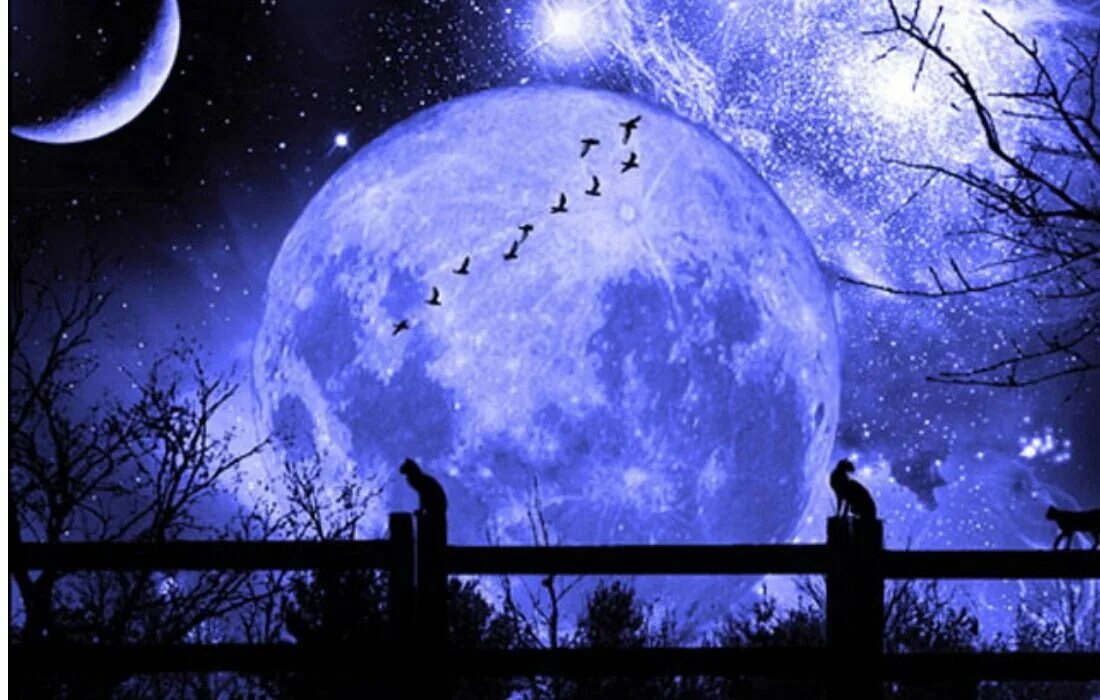 Полная луна фото. Синее полнолуние. Затмение в октябре 2023. Солнце и луна. События в астрономии.