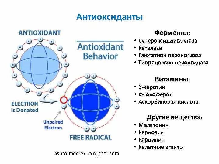 Ферменты антиоксидантной защиты. Действие антиоксидантных ферментов. Действие антиоксидантных ферментов. Селен антиоксидантная защита. Схема действия антиоксидантов.