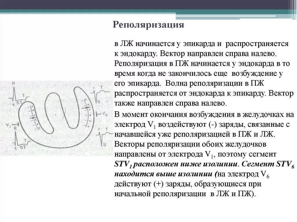 Нарушение реполяризации передне перегородочной области. Изменения процессов реполяризации миокарда желудочков. Нарушение процессов реполяризации в нижней стенке левого желудочка. Неспецифические нарушения реполяризации на ЭКГ. Умеренные изменения реполяризации на ЭКГ.