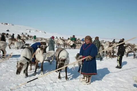 Три северные столицы