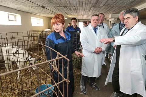 Ростовский спк