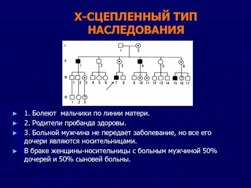 X сцепленный Тип наследования. X сцепленный рецессивный Тип наследования. У сцепленный Тип наследования. Y сцепленный рецессивный Тип наследования. Человека классическая гемофилия наследуется как сцепленный