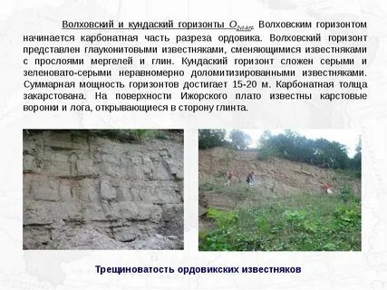 Почвы северо западного