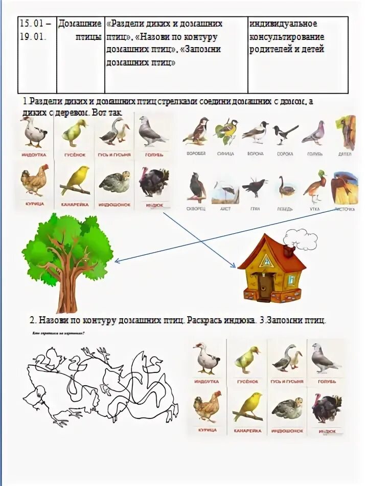 Задание логопеды домашние птицы. Задания на тему домашние птицы для дошкольников. Лексическая тема домашние птицы задания. Лексическая тема домашние птицы для малышей. Домашние птицы задания для дошкольников логопедия.