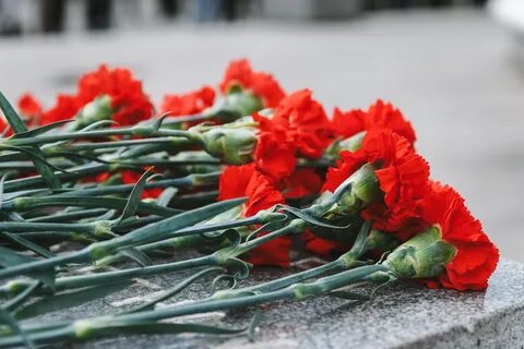 Память марты