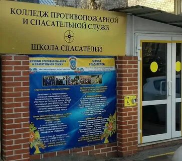 Сэс ростов на дону