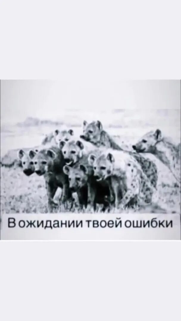 Одна твоя ошибка