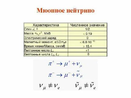 Собрат электрона и нейтрино
