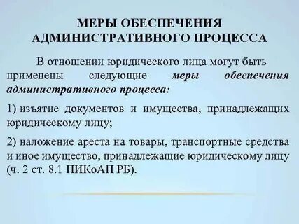 Меры процессуального обеспечения понятие