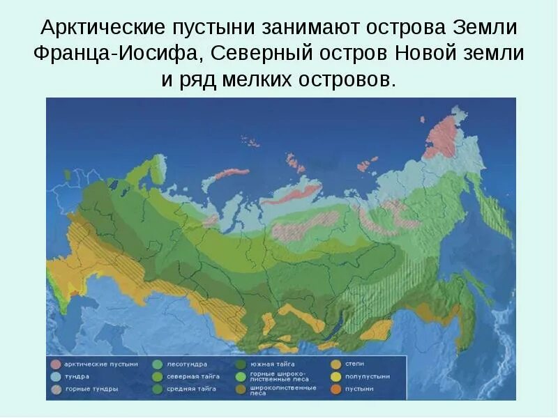 Где расположены арктические пустыни
