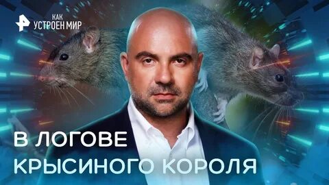 Как устроен мир с тимофеем баженовым 2024