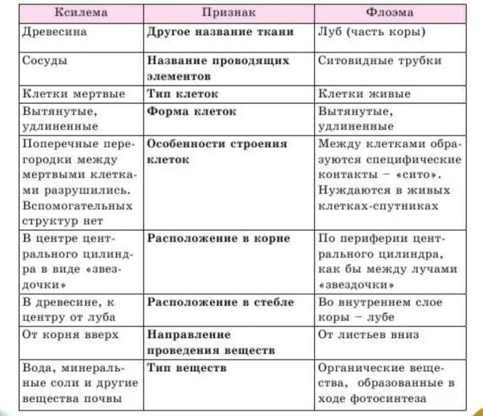 Ксилема и флоэма различия. Особенности строения ксилемы. Признаки ксилемы. Ксилема и флоэма живые и мертвые клетки. Укажите признаки характерные для флоэмы