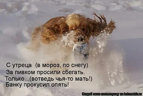 С утреца