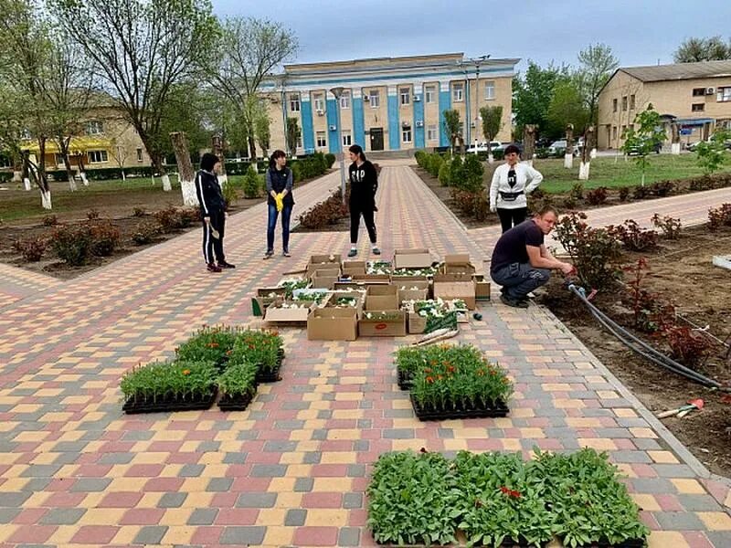 Погода в р п чернышковском волгоградской области. Чернышковский район Волгоградская область парк. Поселок чернышки Волгоградская область. Парк в р.п. Чернышковский Волгоградской области. Чернышковский парк центр.