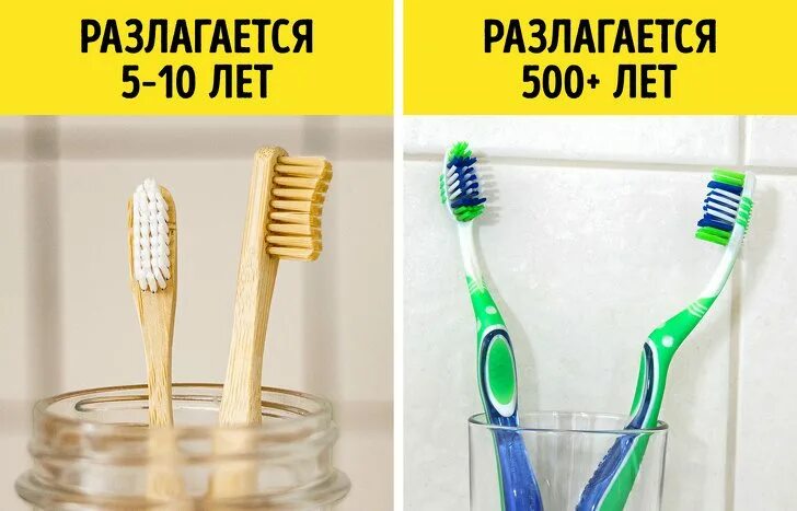 Сдай зубную щетку