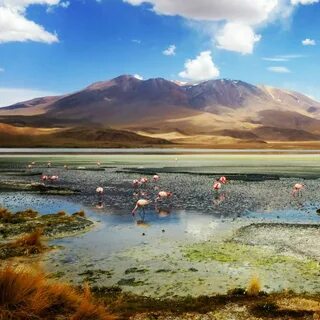 Лагуна в южной америке