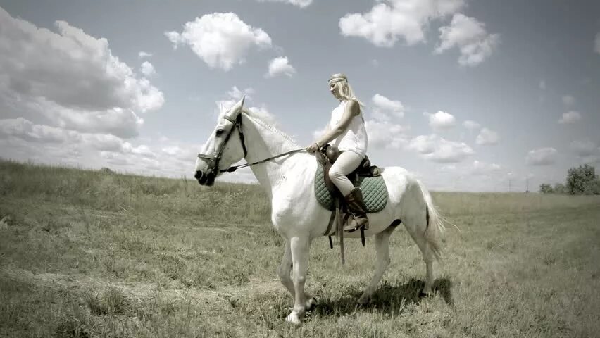 Красивый белый конь. Обложка клипа лошади. Поющие лошади. Белая лошадь клип. Соломко белая лошадь.