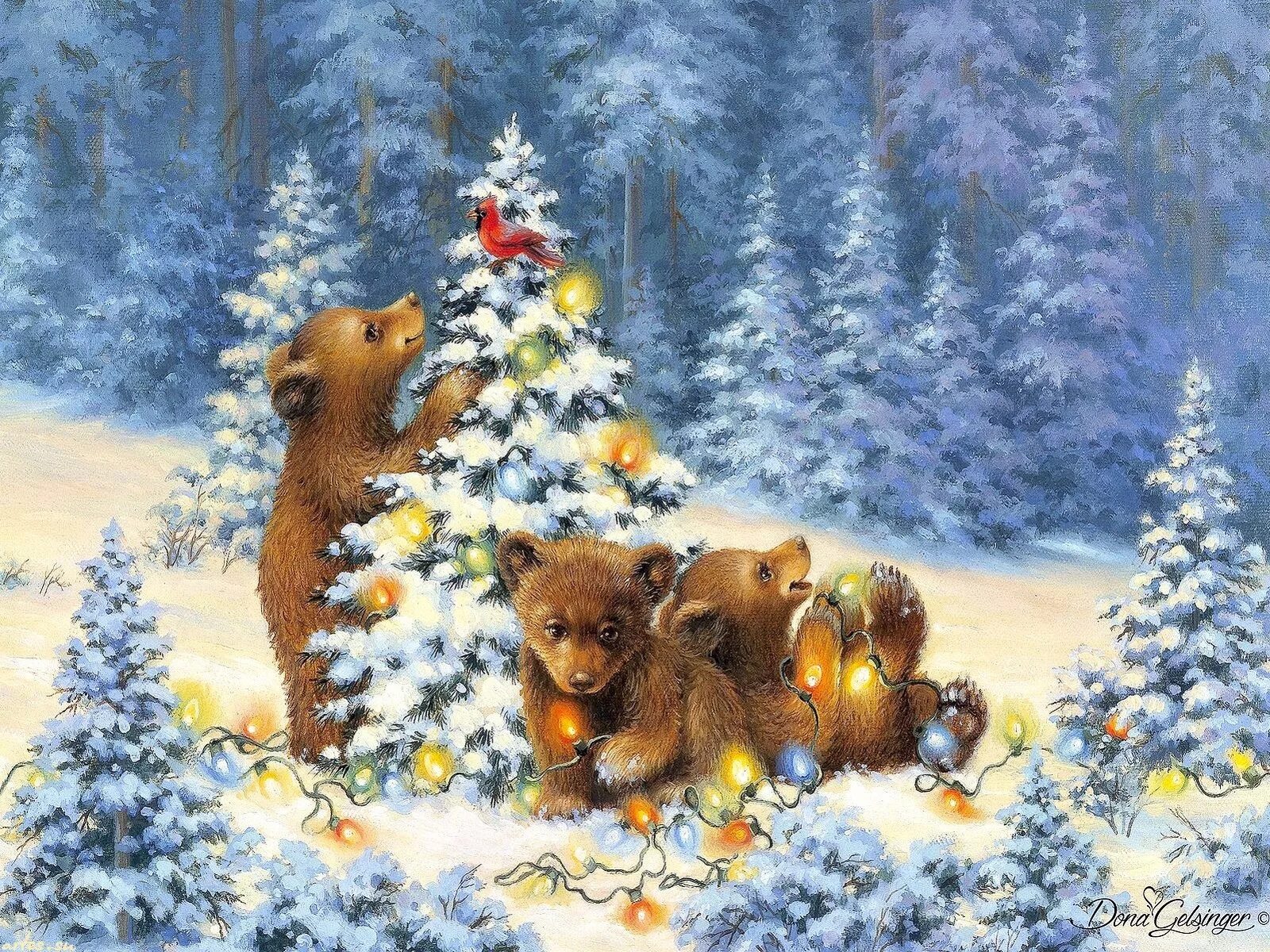 В лесу под елками. Сибирская грибная поляна. В лесу под елками. Хвойный лес карелии. Гриб боровик еловый.