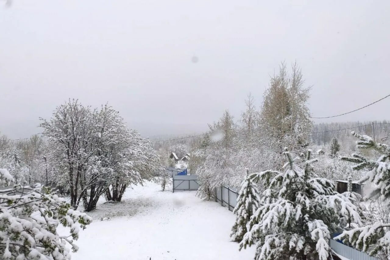 1 мая выпал снег. Снег. Снег в Свердловской области. Снег в мае. Снегопад в мае 2022 Екатеринбург.