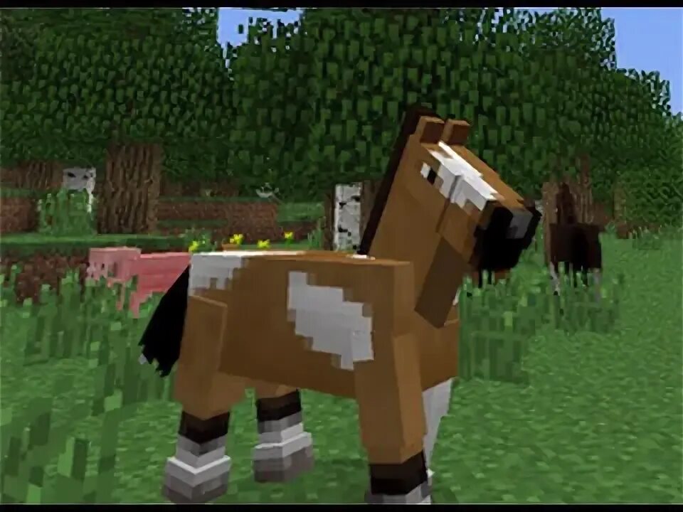 How to breed horses minecraft Minecraft horse, Baby horses, Horses
