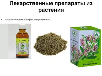 Лекарственные препараты лекарственное сырье