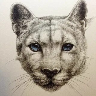 Нарисовать реалистично животного