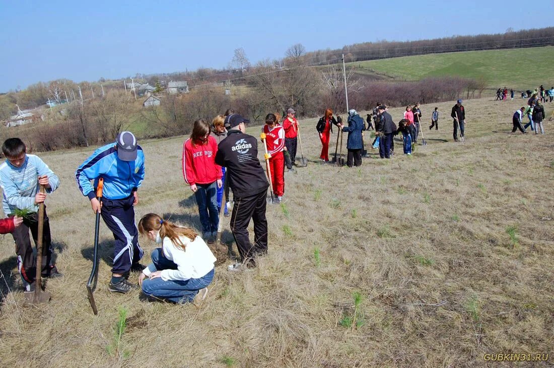 село бобровы дворы. погода в бобровых дворах. бобровы дворы школа. пруды бобровы дворы. погода бобровы дворы губкинский район.