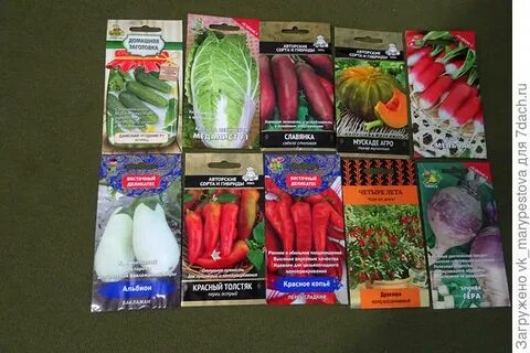 Семена агрофирмы поиск
