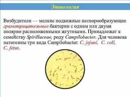 Мелкие подвижные