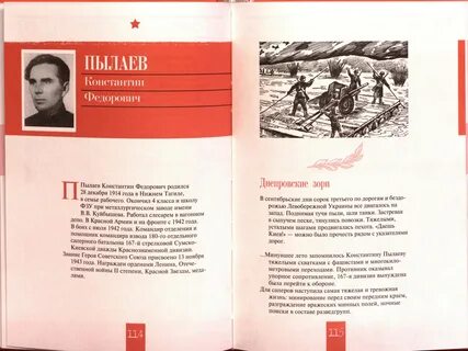 Читать камер юнкер пылаев