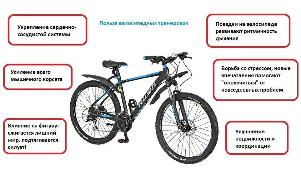 Велосипед польза и вред для мужчин. Польза велосипеда. Полезность велосипеда. Преимущества велосипеда. Чем полезно кататься на велосипеде.