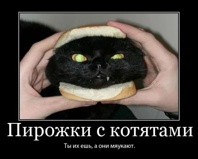 Хочешь есть пироги