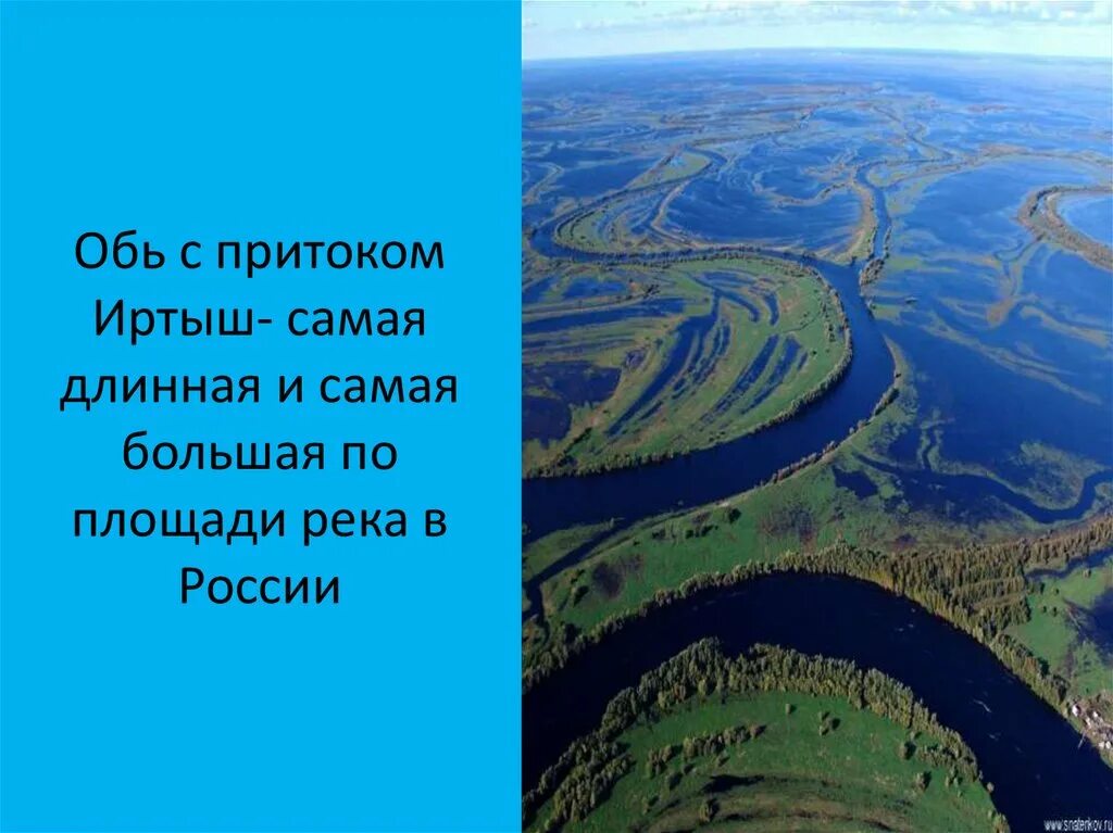 Западно Сибирская равнина Обь. Западная Сибирь Обь Иртыш. Реки Западно сибирской равнины. Обь самая длинная река России. Какой приток иртыша