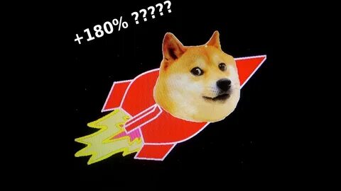 Доге 2024