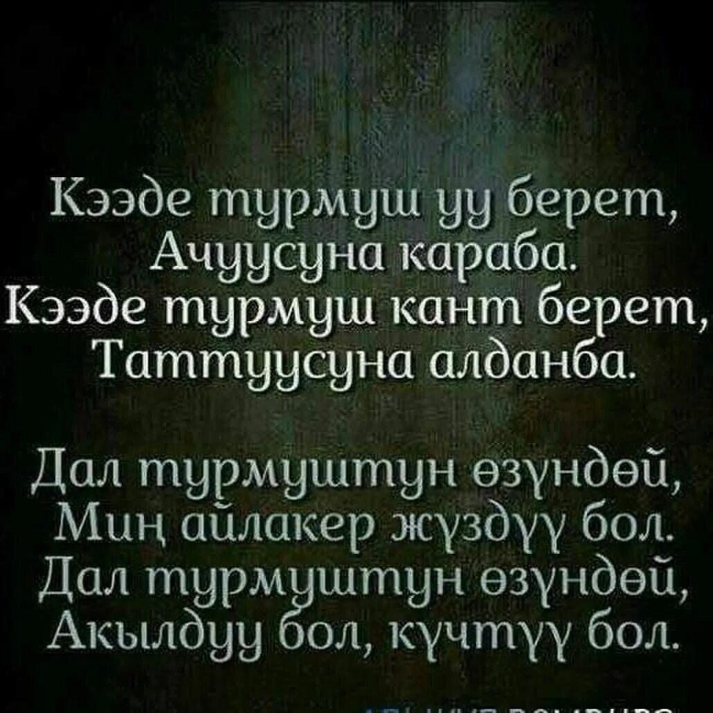 Кыргызча стихи. Калоо тилектер тойго уйлонуу. Кыргызча калоо тилектер уйлонуу той. Поэзия кыргызча. Ыр десте текст