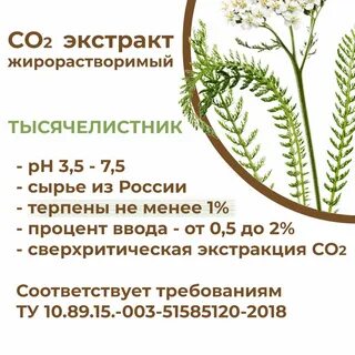 Экстракт тысячелистника