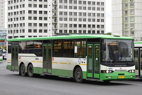 Автобус 10 автобус 2 а