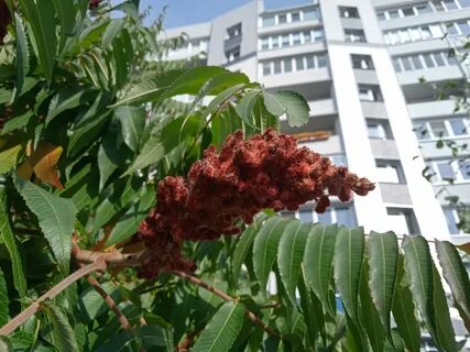 В абхазии нет света