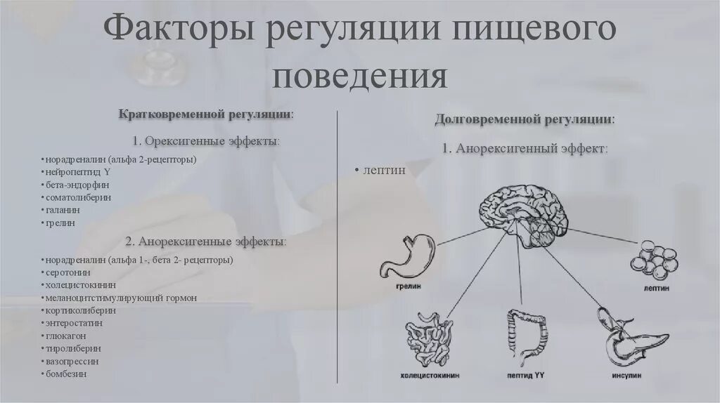 Гуморальная регуляция мозга. Функциональная система регуляции пищевого поведения. Схема регуляции пищевого поведения. Расстройство пищевого поведения схема. Схема регуляции пищевого поведения физиология.